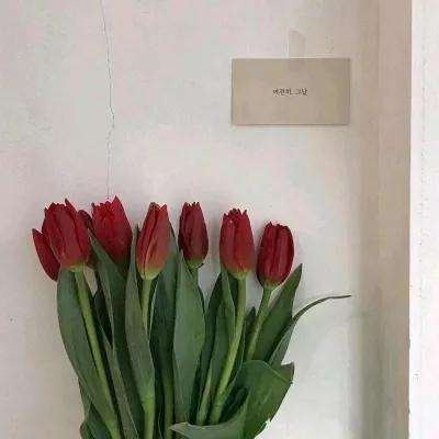 天博tb综合体育官方app